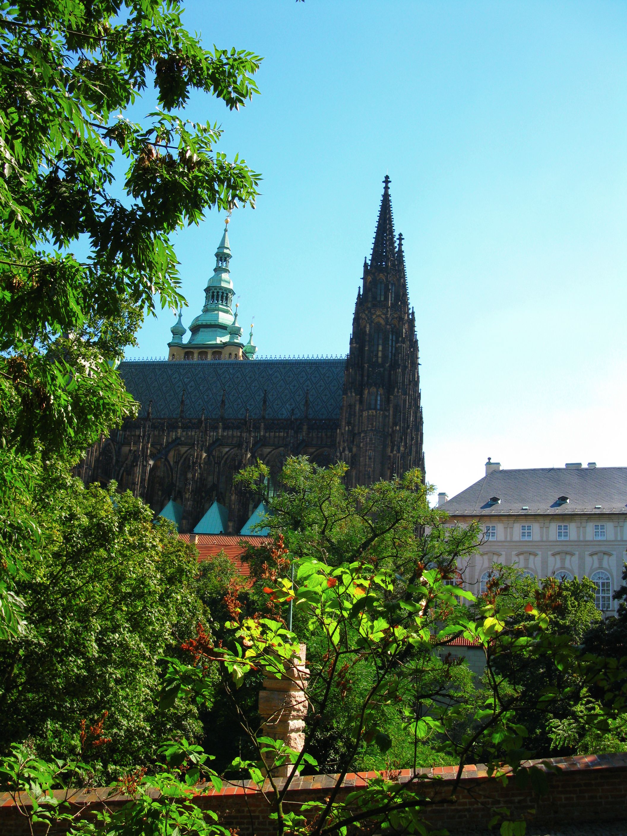 Katedra św. Wita w zieleni